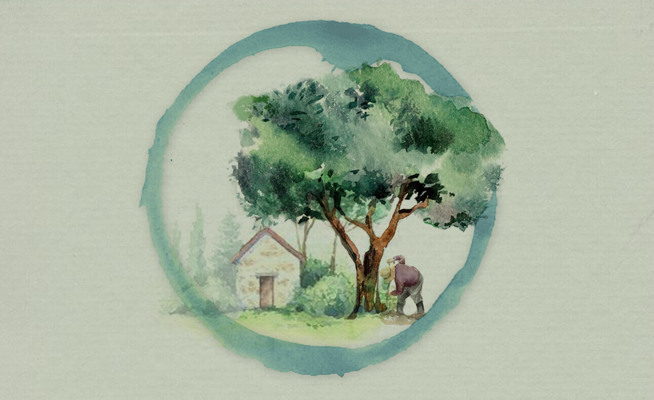 Ελαιόλαδο και υγεία της καρδιάς