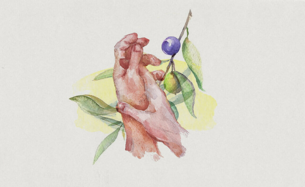 Ελαιόλαδο και επιδερμίδα