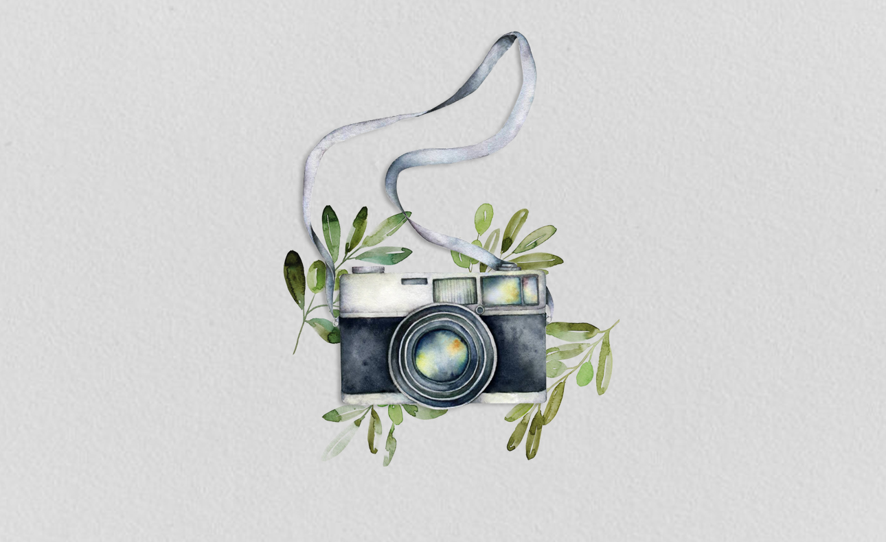 Ποιήματα, Φωτογραφίες, η Ελιά ενέπνευσε τους πάντες